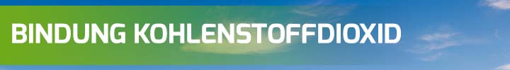 BINDUNG KOHLENSTOFFDIOXID