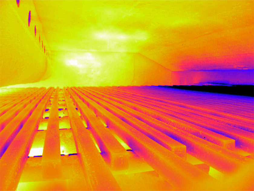 NIR-B 640 Thermal Image